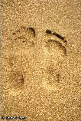 Titel - Fußabdruck im Sand
