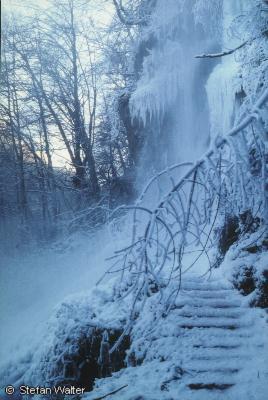 Januar - Uracher Wasserfall erstarrt