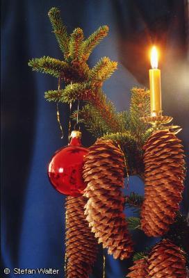 Dezember - Weihnachtsbaum mit Zapfen