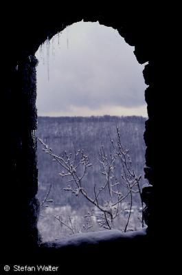 Januar - Fensterblick